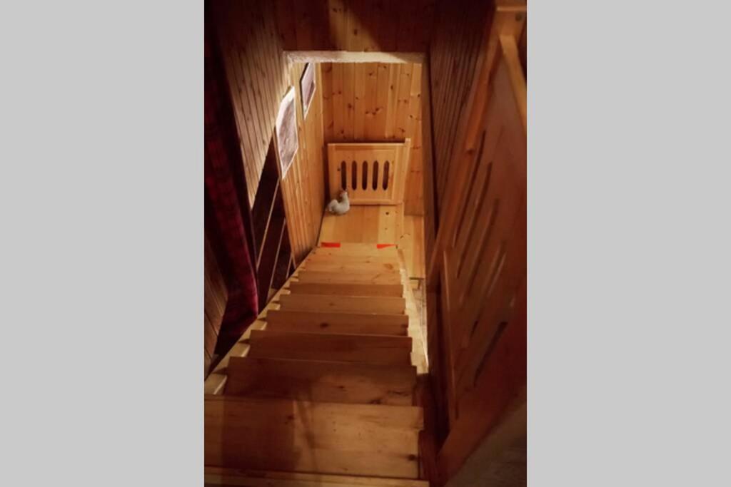 Chalet Indipendente In Centro A 瓦托内切 外观 照片